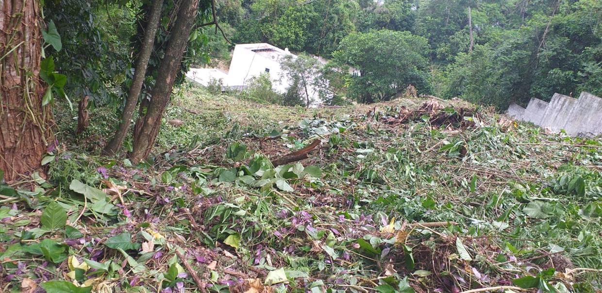 Area Terreno 6