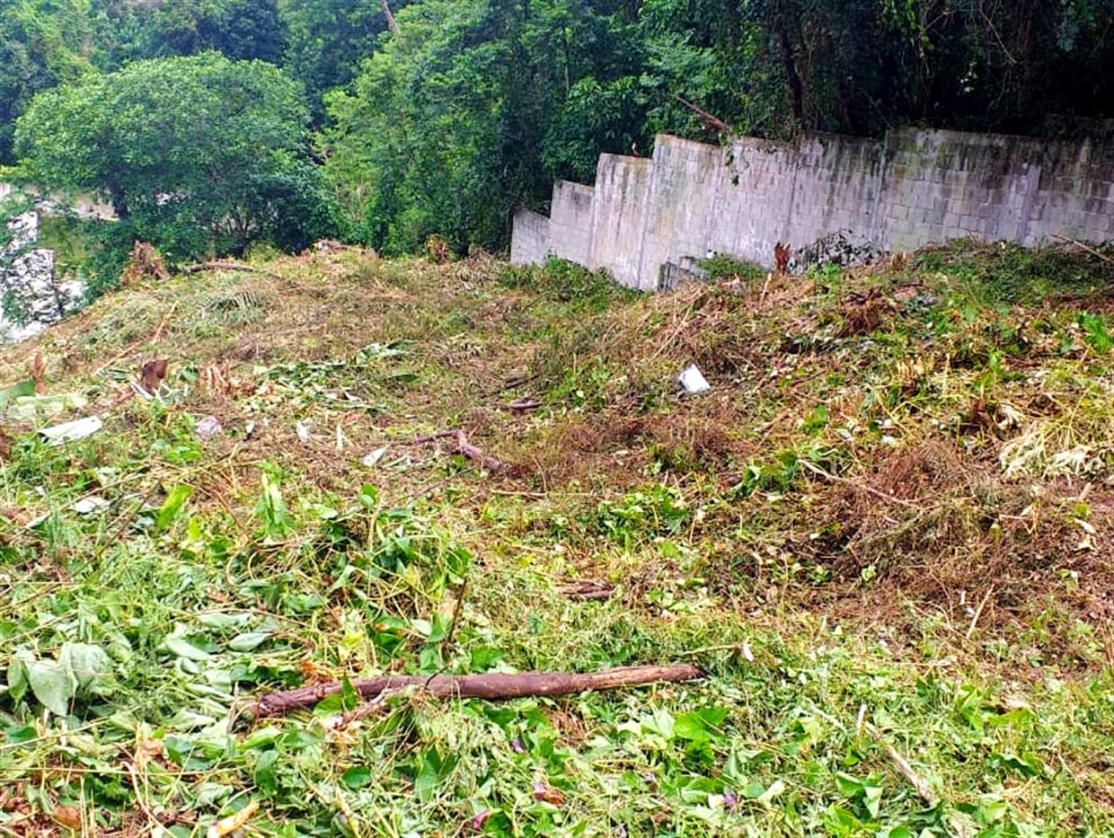 Area Terreno - Vista lateral 2