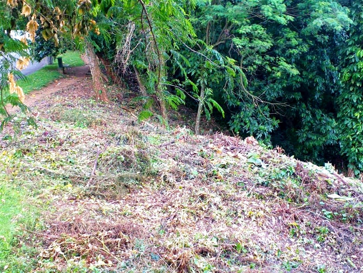 Area Terreno - Vista lateral