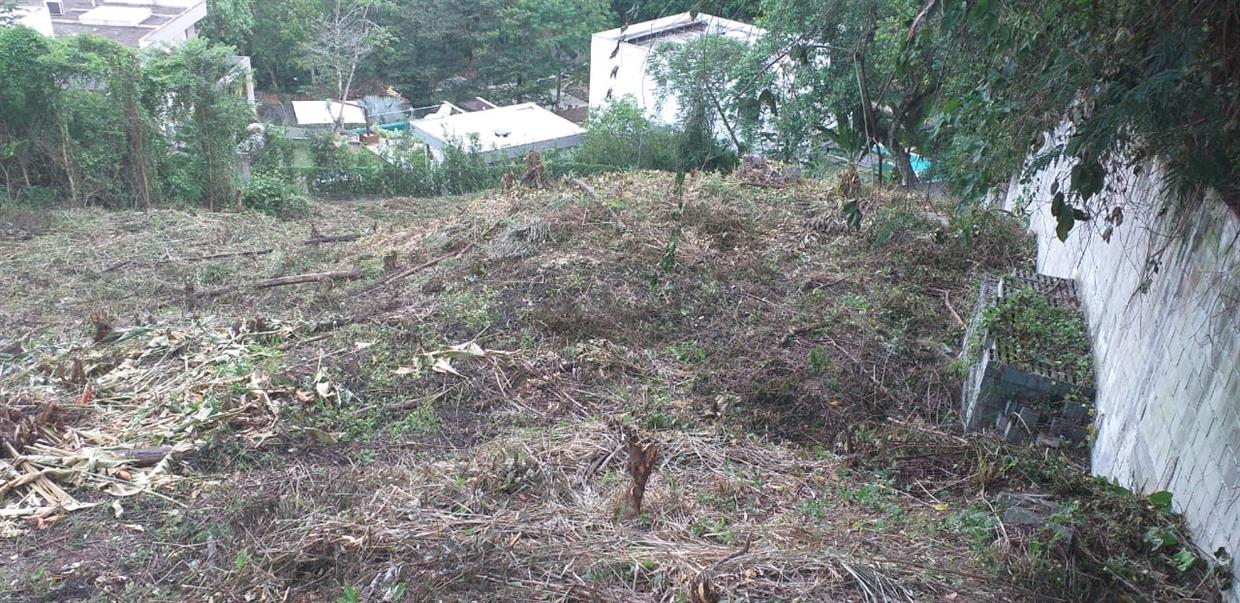 Area Terreno 1
