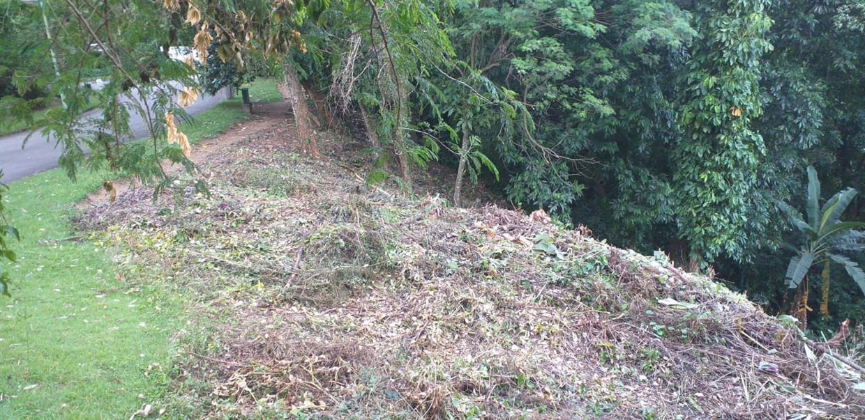 Area Terreno 10