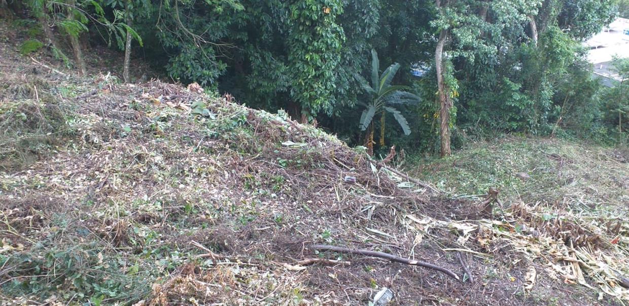 Area Terreno 2