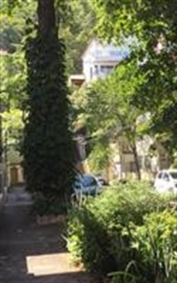 imagemlocal (40)