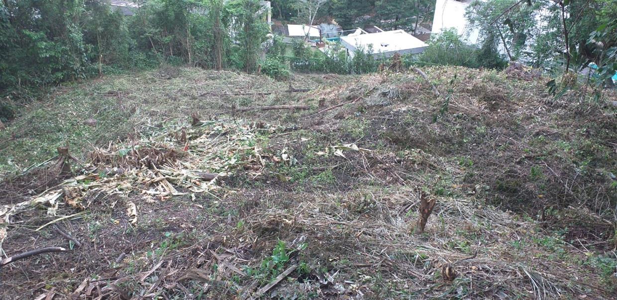 Area Terreno COMPLETO LOTE 1 E 3